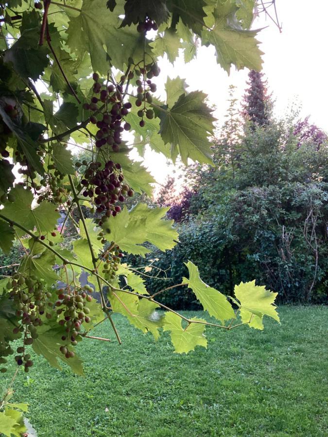 FeWo Hegauhaus Alkapa Hilzingen Bagian luar foto